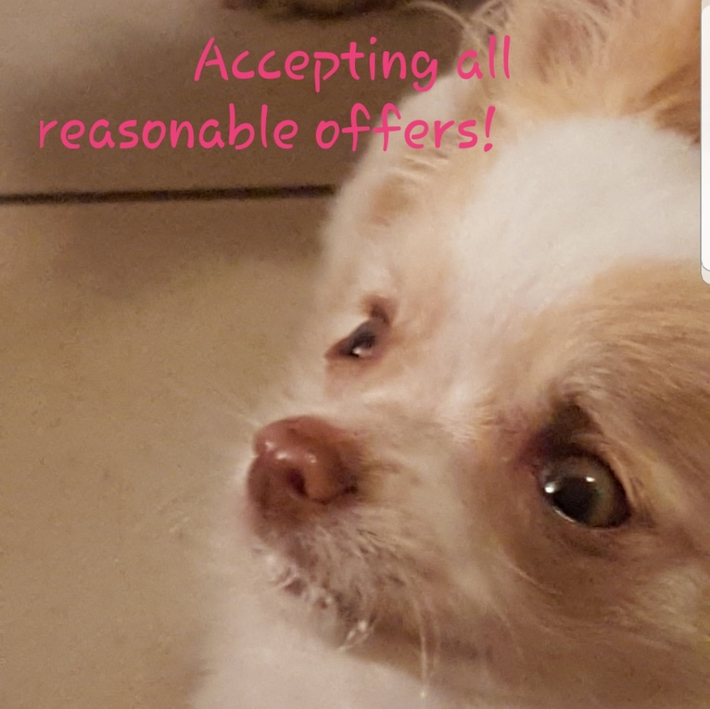 Reasonable offers considered! Personal shopper!